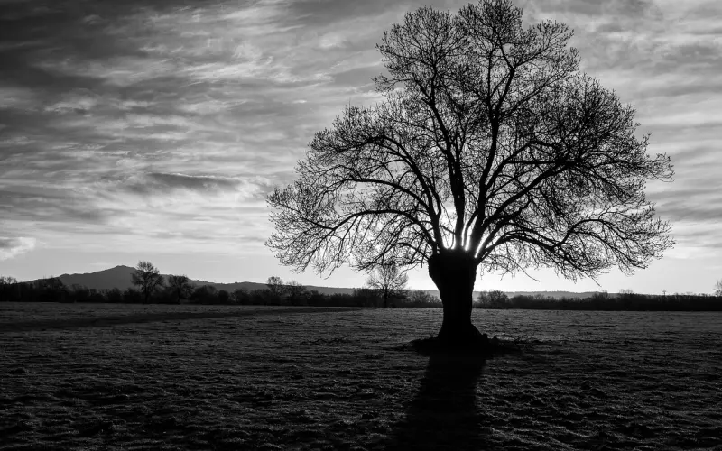 今日腊八，恭迎佛祖成道日！今日把《释迦牟尼佛心咒》念诵转发一遍消灾得福，转发超胜平日行善功德十亿亿倍！