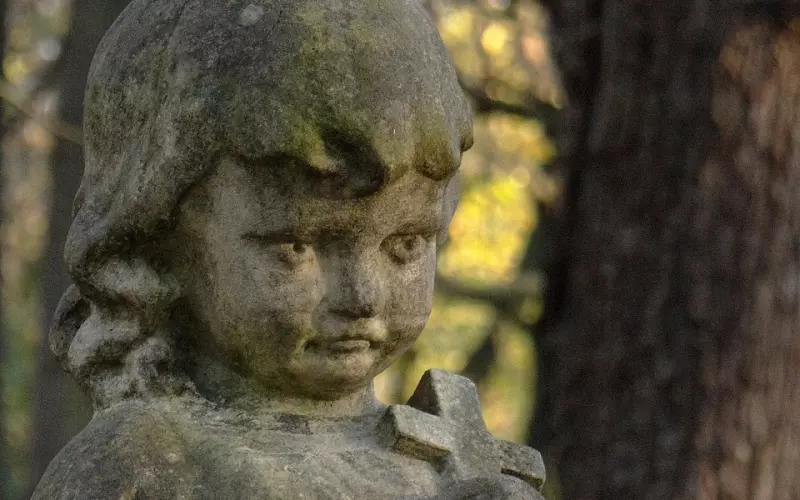 今天11月27日女人节，最美祝福送给天下所有女人，都看看！