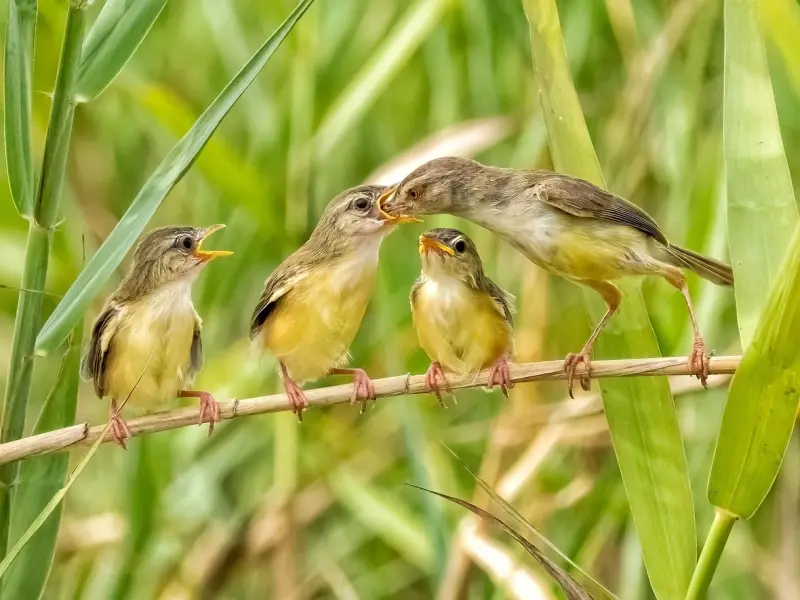 佟城往事 | 霏霏，还记得这个傻姑娘吗？
