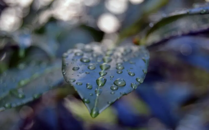 渣男太多？五招让他原形毕露！