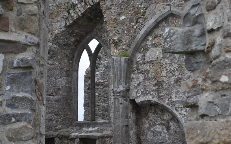 太闲，会毁掉一个正常的人。