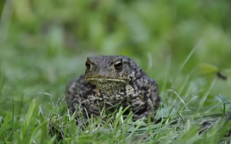 太多任性，爱耍任性不好，请多为对方想一下