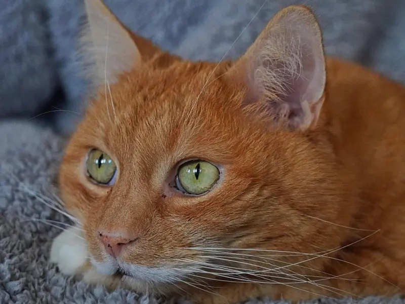 十大<屌丝行为>，你中了几枪