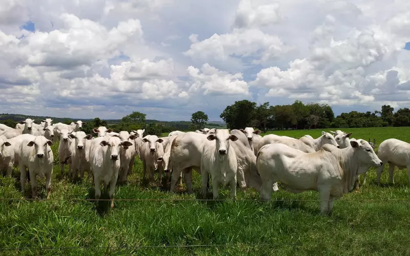 11.13日群内话题讨论