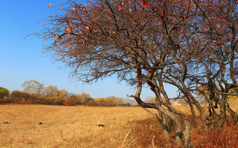 分手之后怎么挽回男朋友的感人话(失恋怎么挽回男朋友的话术)