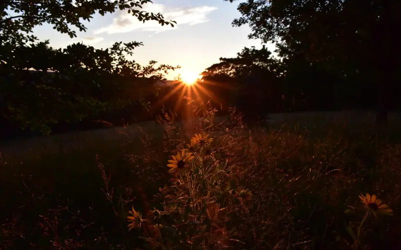心灵的换位（说的透彻！）