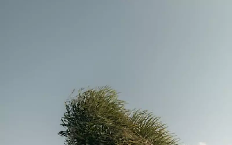 逆风翻盘挽回绝招(如何挽回逆风战局)