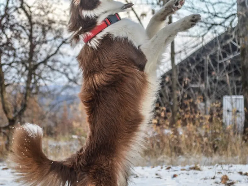 挽回男友的绝招：学会这三招，挽回男友并不难