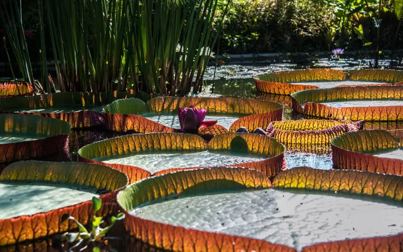 真正的爱情，不是同步成长而是互相成长！