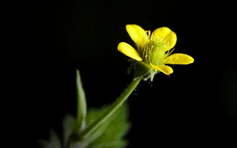 真心见真情，真情见真人！