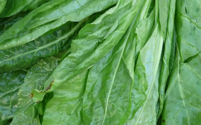 真正的懂得是...