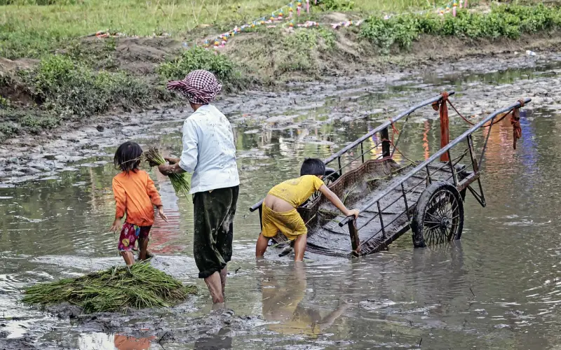 努力把自己变成喜欢的样子，然后遇到那个不必取悦的人