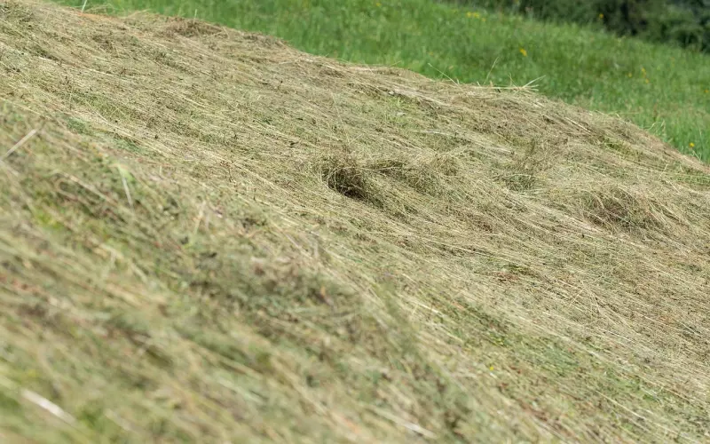 把不安变成希望