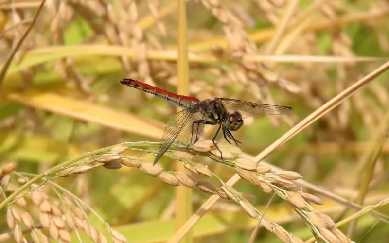 关了灯，男女之间越做越爱的4个“坏动作”，红着脸也要做完！