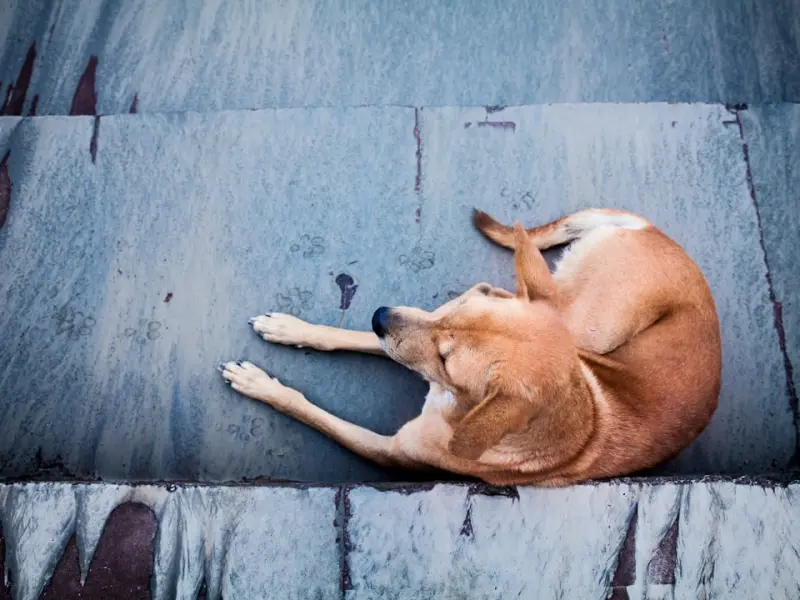 挽回爱情教程之 分手后想挽回女友的心该怎么做