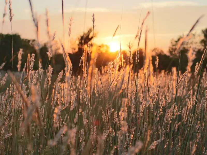 两人分手了，为什么对方不拉黑、不删除、也不联系你