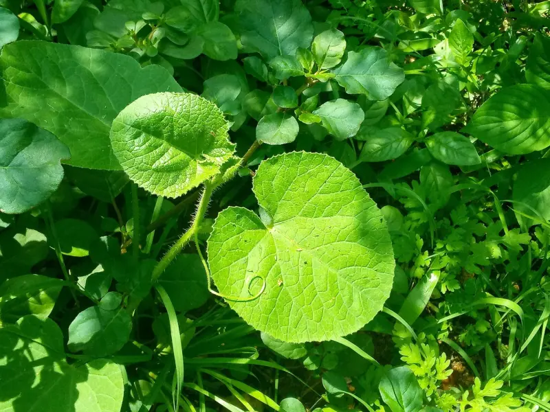 两个有家庭的人相爱了，这样做，也许是最正确的选择