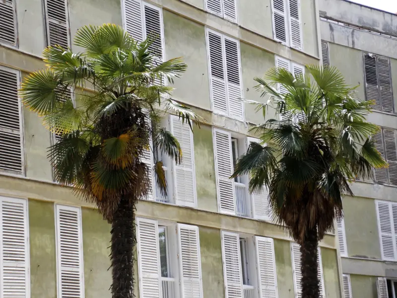 有家庭的两个人，彼此深爱，也要放下