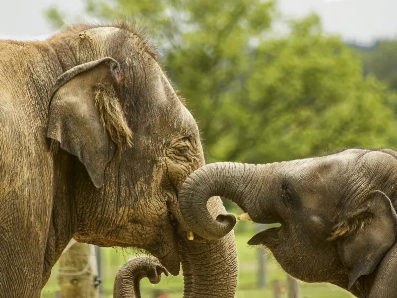 两个有家庭的人相爱，还放不下，这样做才有幸福