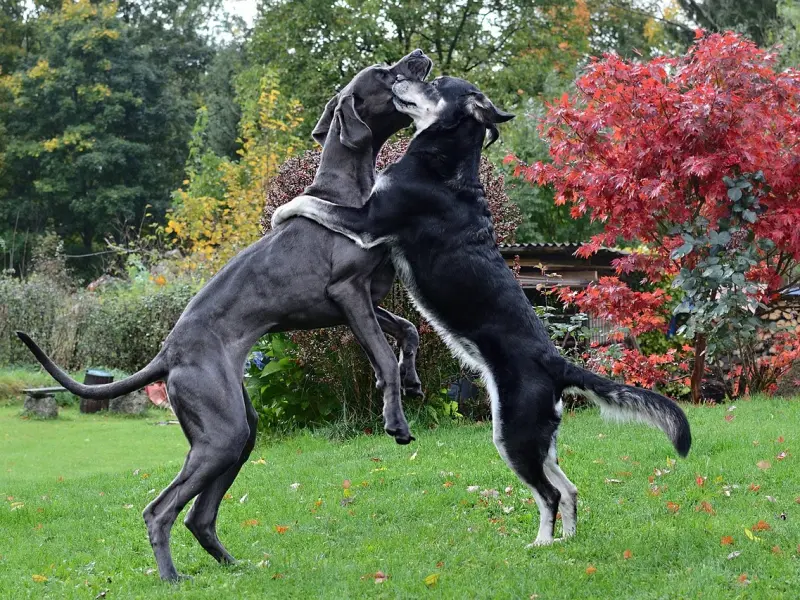 挽回爱情两大禁忌