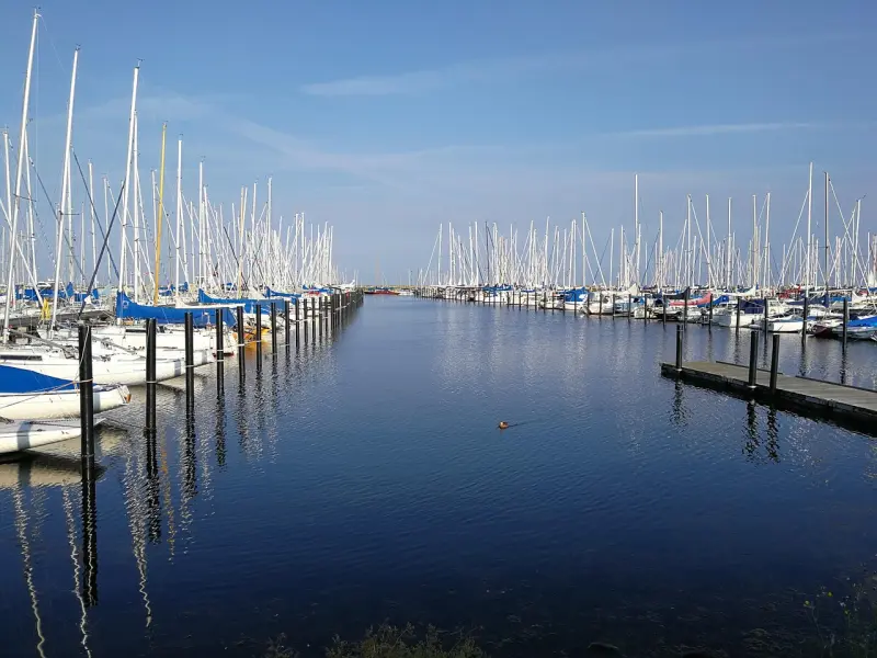 男人不想告诉女人的两个真相，看完都哭了....