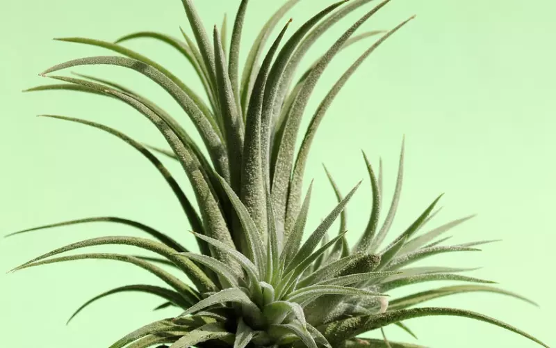 打着“这是为你好”的旗号，最后爱情都变成了什么样？