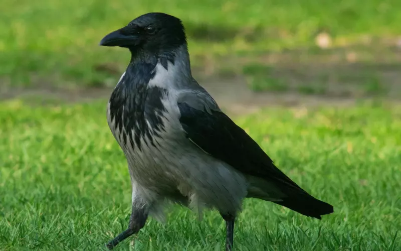 夫妻婚姻感情什么情况下可以离婚？离婚后可能会出现什么后果？我真的很想离婚很多情况下是情绪状态下的决定！