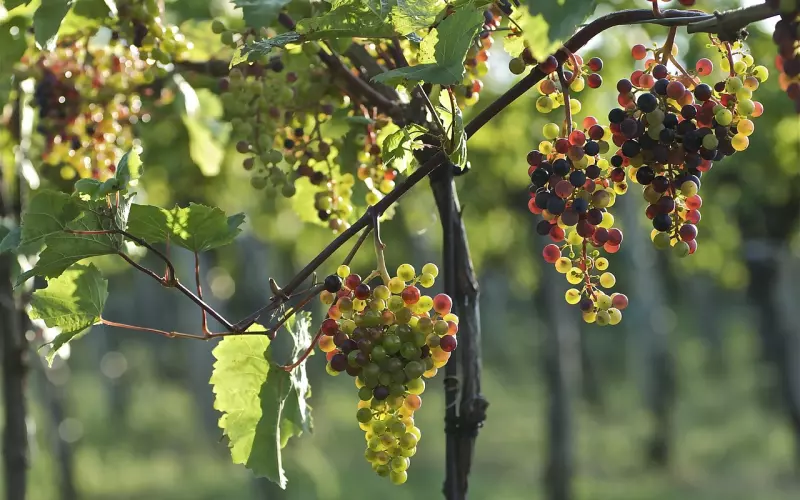 男友会在什么情况下和女友提分手？