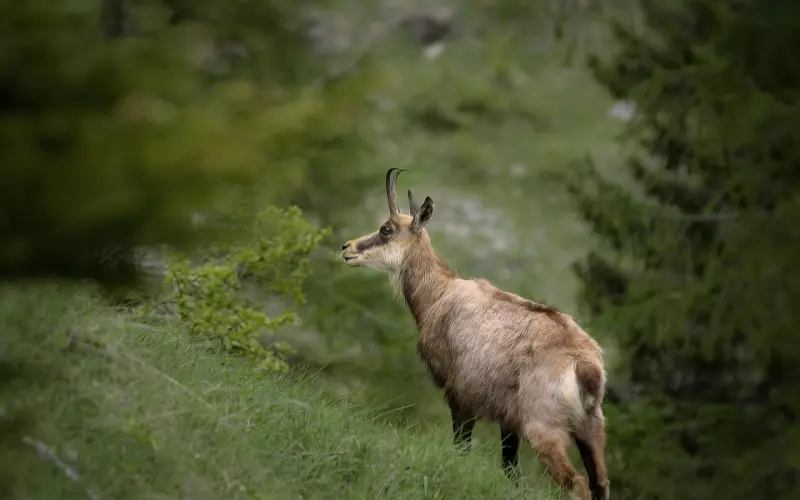明白这一点，帮自己挽回男友