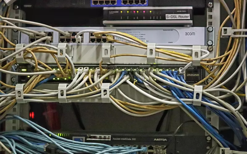 关于婚姻的理解和看法(对于婚姻的理解和看法)