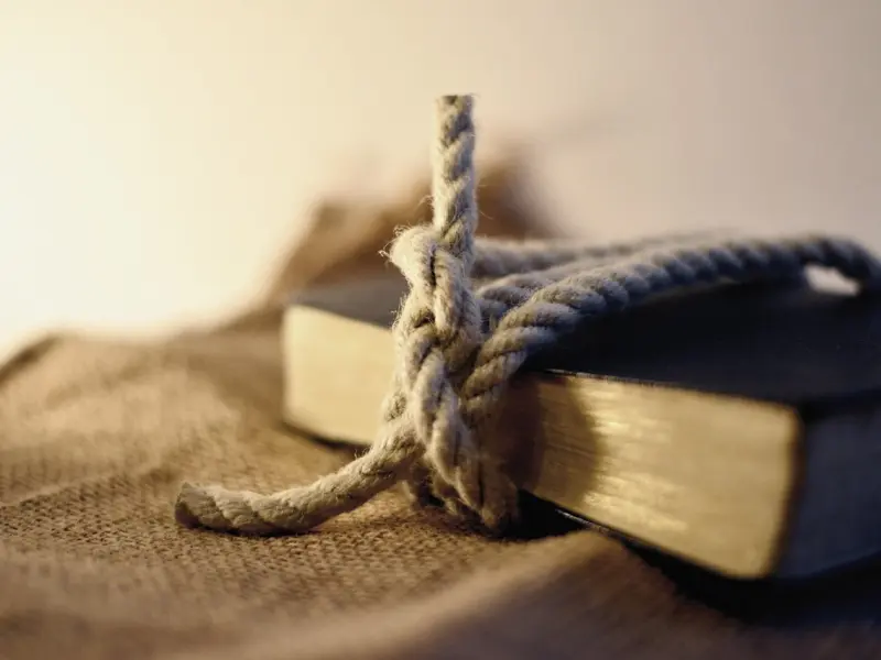 了解 TA的依恋类型，你的挽回事半功倍