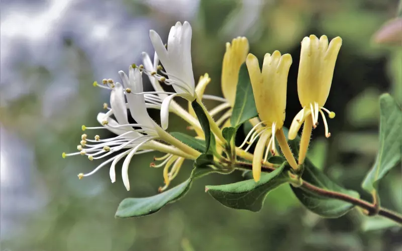 挽回的两种潜在模式，弄懂了不仅可以挽回还能更持久