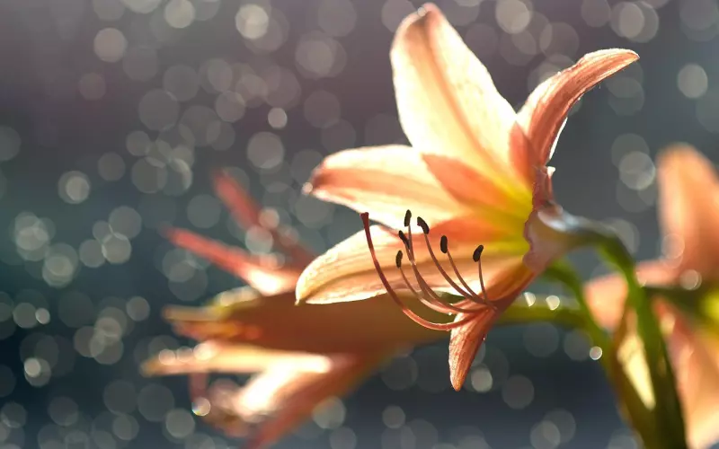 忘恩负义的人，都有这四个特点！