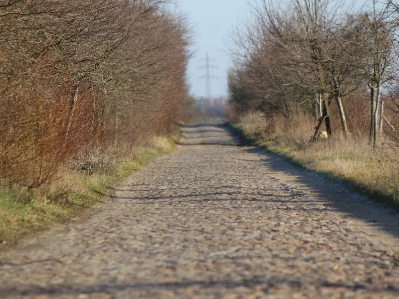 不幸的夫妻之间经常有这5个行为，出现任何一个，都不会幸福！