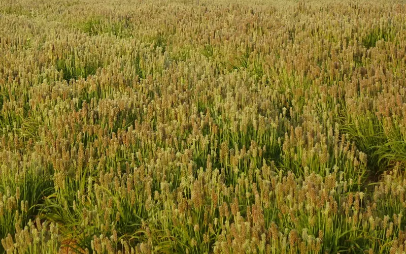 用心态学挽回前男友