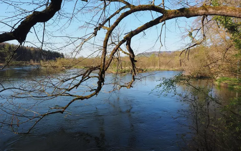 简短的句子心情说说文字图片，发朋友圈让人心酸的短句子