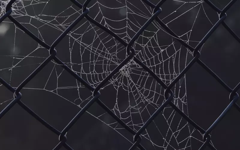 用对这3个方法，让你的爱情更加牢固