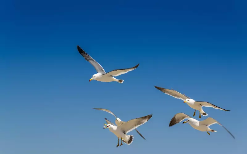 采用这些方法挽回男友？那就等着被拉黑吧！