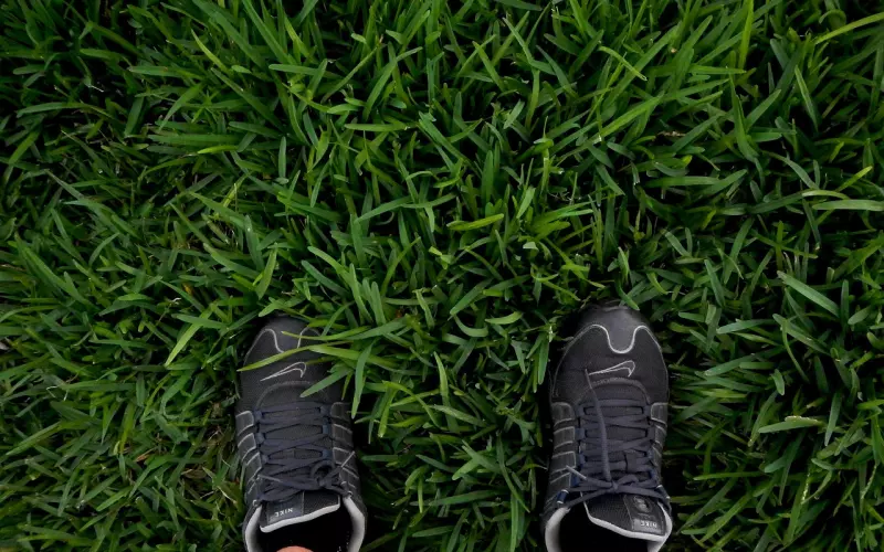 挽回女友之用这种方法一步一步挽回女友的心