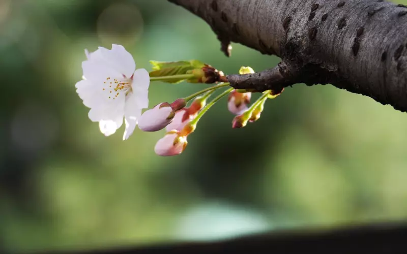 用这种方式挽回前任，复合的困难迎刃而解