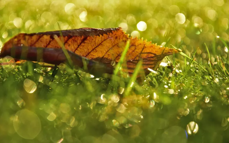 通常在这三种情况下，男人才会对你说真话