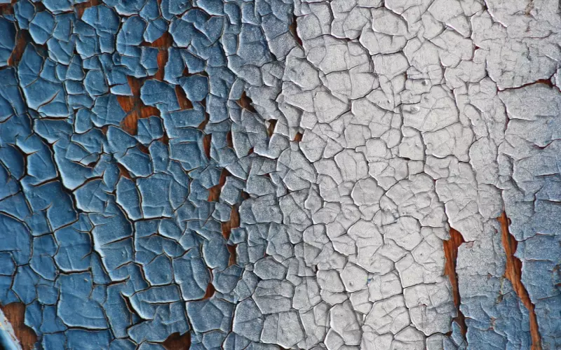 情人节挽回特惠活动