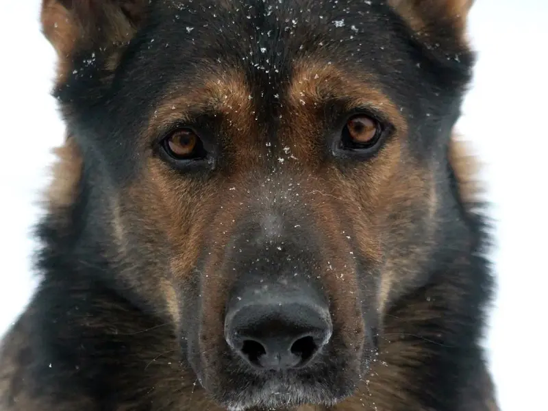 通过好友验证怎么撩男神，一招撩到他的心