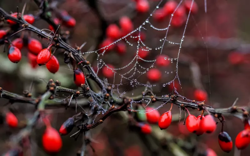 非常经典的心情说说短句子 ，总有一句适合你