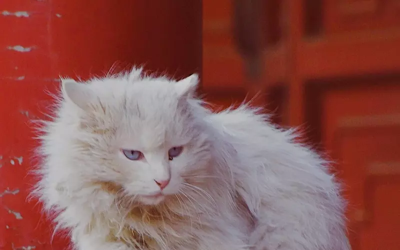 朋友圈很霸气的人生哲理句子，句句精辟有道理！