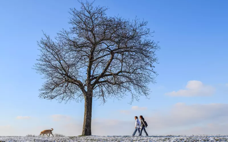 2019年很走心的心情短语，保证你看完必赞！
