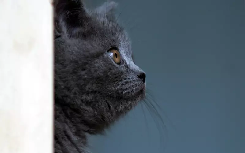 很伤痛心情短语，挑一句喜欢的发朋友圈！