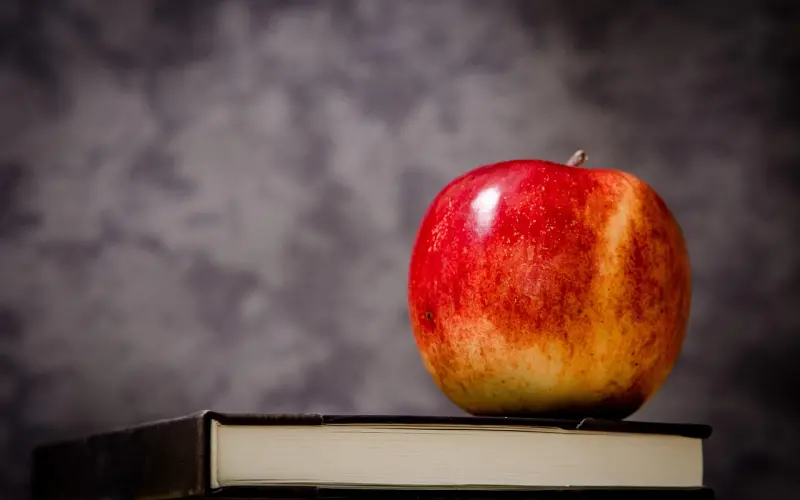 胜败在此！相亲必看的红宝书