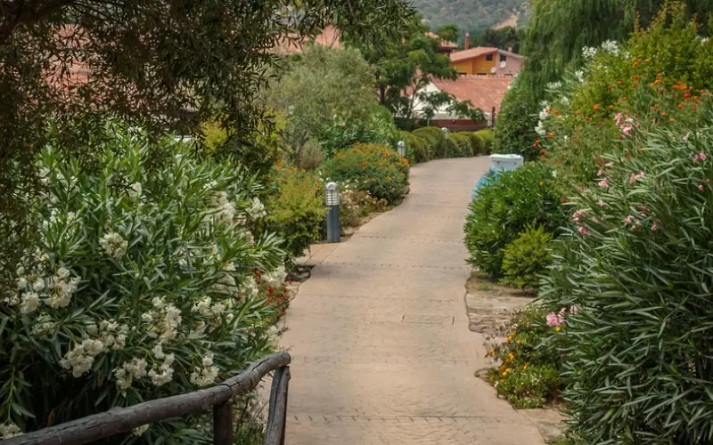 【视频】明星丁嘉丽的勇气：当众忏悔出轨、堕胎