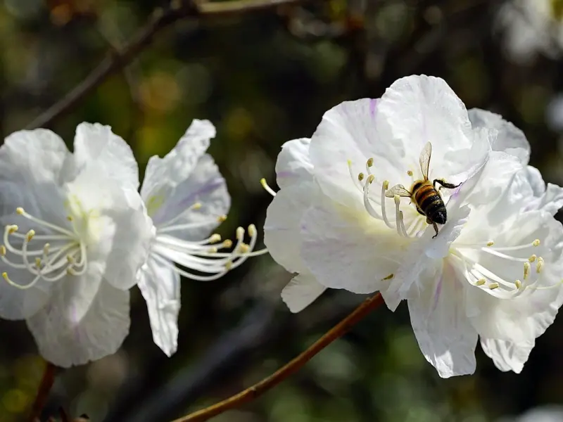 心声 | 爱一个人最好的方式